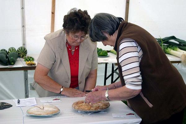 Judges at work 3.jpg